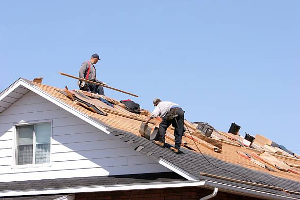 Best Green or Eco-Friendly Roofing Solutions  in University Park, NM